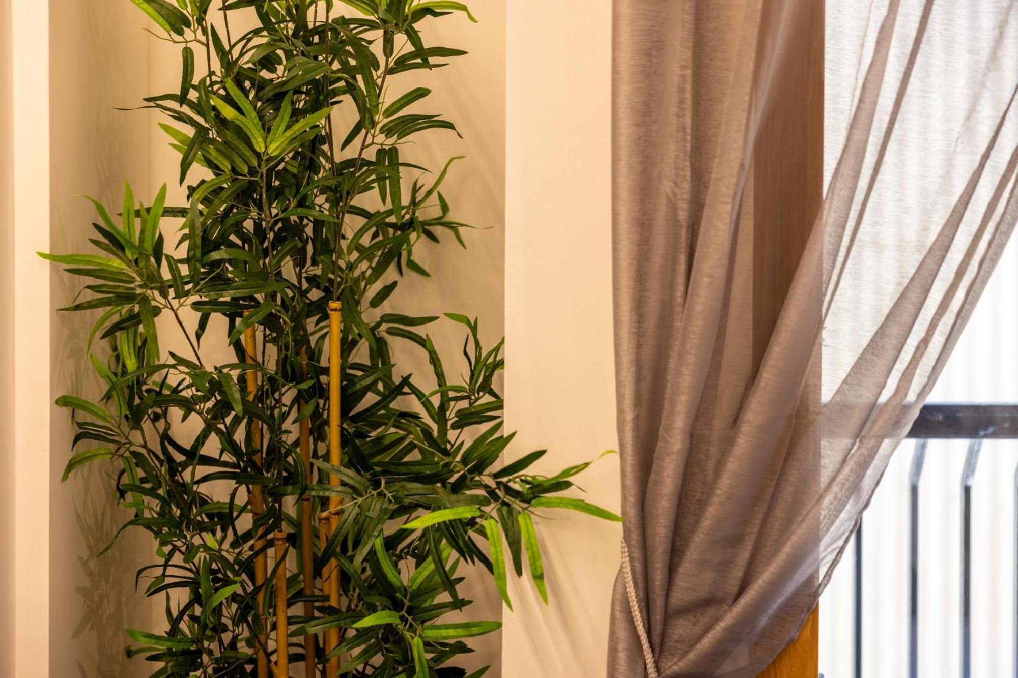Estudio Para Grupos Pequenos En El Pas De La Casa - Centrico Bagian luar foto